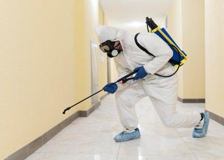 Comprehensive Strategies for Effective Roach Control